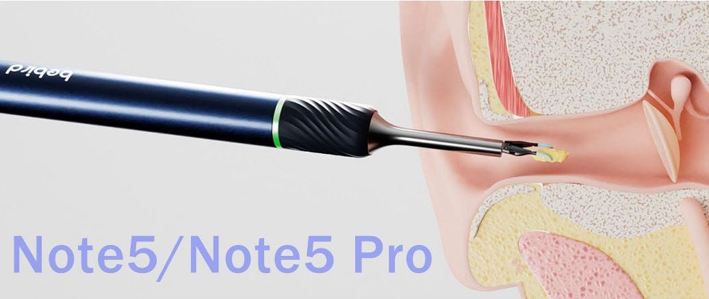 Note Pro in ear model